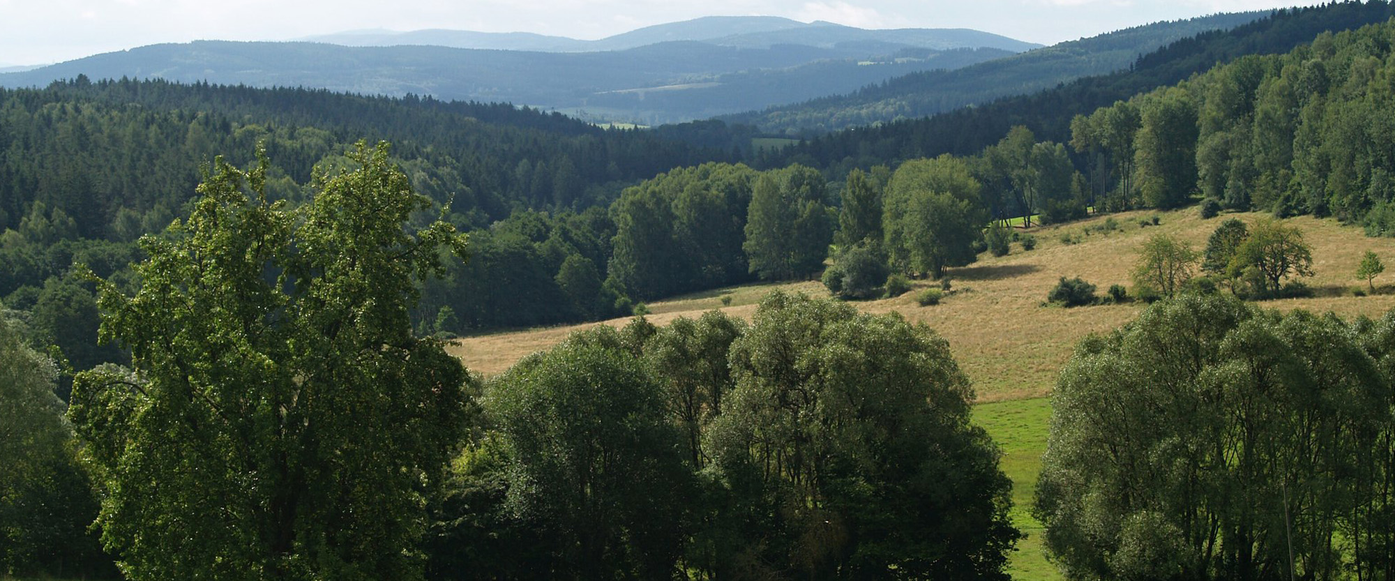 LS Artmanov hlavička
